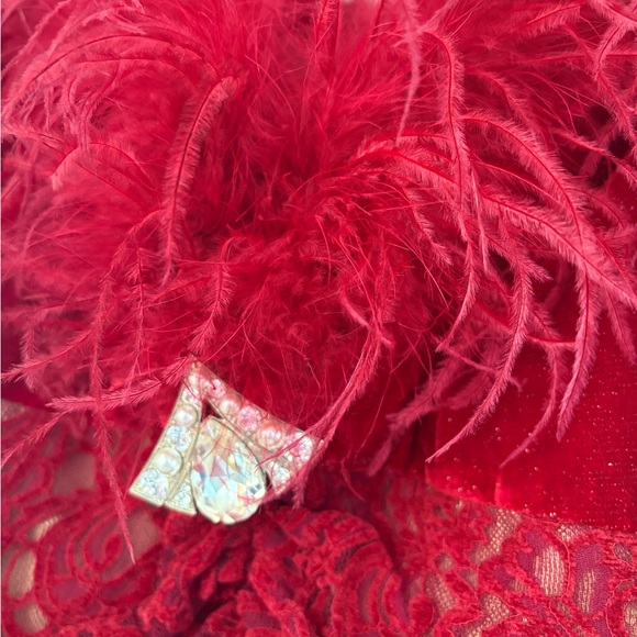 Elegant Red Velvet Dress with Feather Trim - Picture 5 of 6